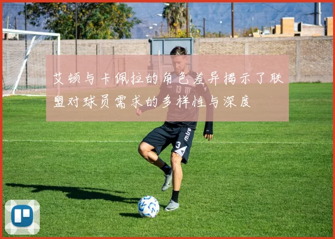 艾顿与卡佩拉的角色差异揭示了联盟对球员需求的多样性与深度